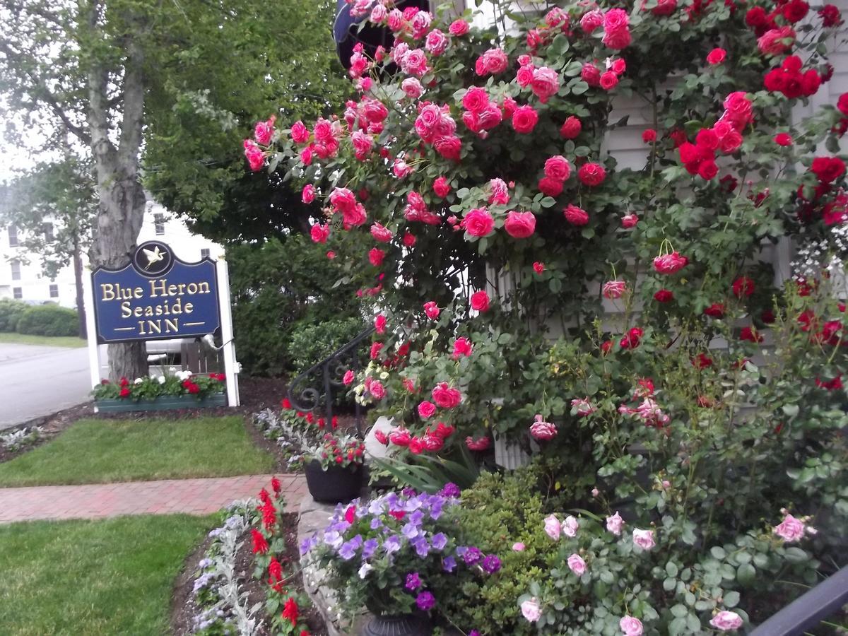 Blue Heron Seaside Inn Boothbay Harbor Luaran gambar